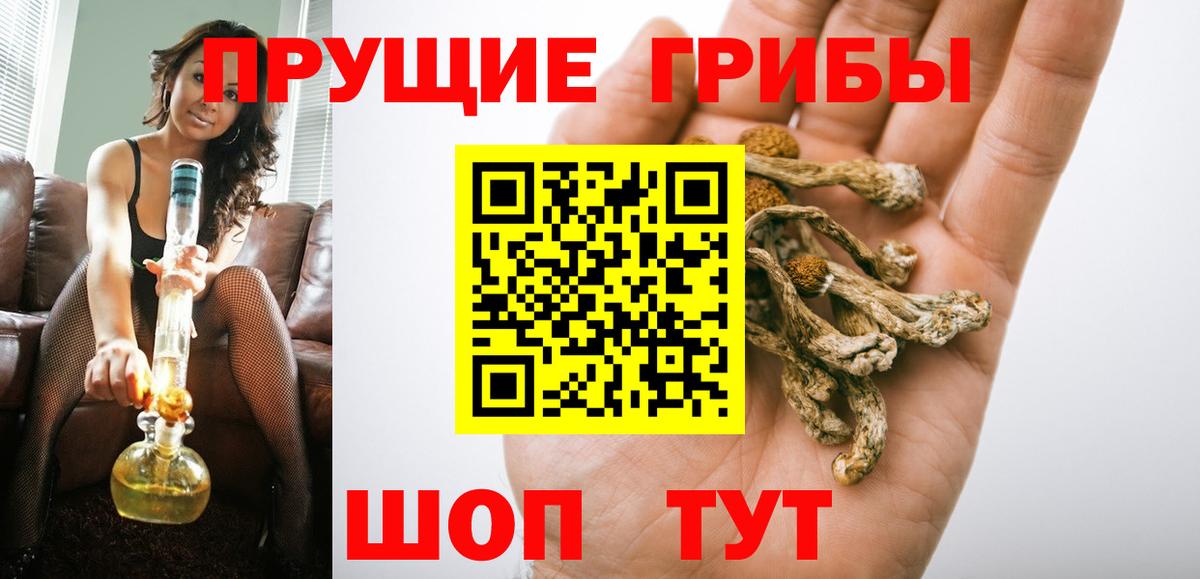 Анжеро-Судженск  Галлюциногенные грибы Psilocybe  Вход с VPN 